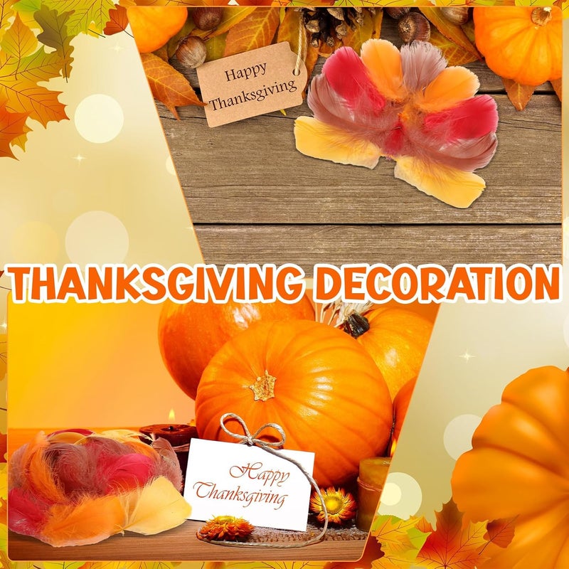Lyrow Store 800 Pcs Thanksgiving Fall Feathers DIY Craft Color Feathers Dream Catcher Decoration Natural Fluffy Dress up Party Decoration, 2-4 Inches (Bright Color) - Image 5
